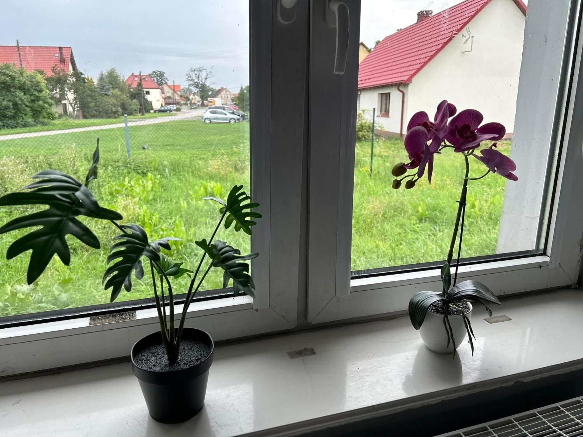 Lawendowa Przystan Pokoj Nr 9 Poddasze Trzebnica Exteriér fotografie
